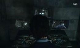 鱼叔吃瓜视频,揭秘娱乐圈幕后真相，带你领略明星们的真实生活