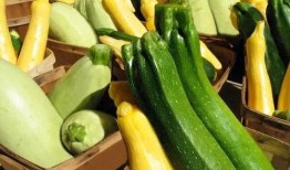 南宁体专吃瓜,揭秘校园吃瓜背后的故事