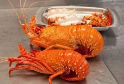 吃瓜澳洲吃龙虾视频在线观看