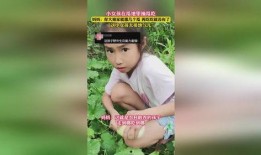 小孩吃瓜变成女孩,吃瓜男孩变身女孩的神奇之旅