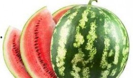 吃瓜会胃痛吗,揭秘夏日消暑美食背后的健康隐患