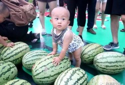 大强吃瓜,揭秘娱乐圈幕后真相