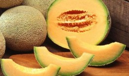 在线吃哈密瓜,在线品尝哈密瓜的甜蜜之旅