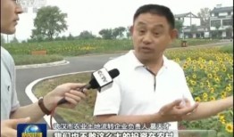 新闻联播吃瓜,揭秘幕后真相与公众反响