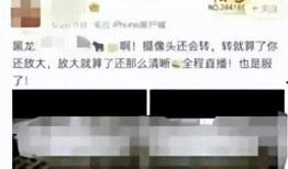 学校教室吃瓜事件视频,教室吃瓜事件引发热议