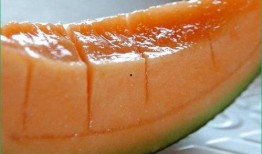 感冒吃梨还是吃哈密瓜,感冒期间的选择指南