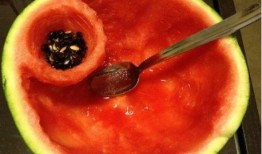 天天吃瓜的感觉,揭秘娱乐圈的甜蜜与苦涩