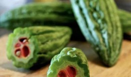 吃瓜黄美琳,娱乐圈的“瓜王”传奇