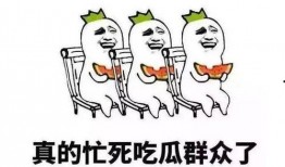 吃瓜几个小时,吃瓜群众几个小时见证的精彩瞬间