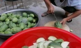 吃瓜把嘴撑,揭秘娱乐圈那些事儿