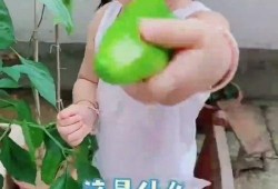 小孩吃瓜变成女孩,吃瓜男孩变身女孩的神奇之旅