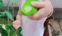 小孩吃瓜变成女孩,吃瓜男孩变身女孩的神奇之旅