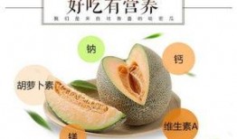 智博长清吃瓜,一场吃瓜盛宴背后的科技魅力