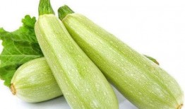 高血脂吃白瓜,天然食疗新选择