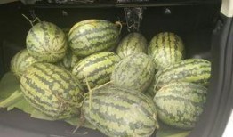 吃瓜搬凳子,围观娱乐圈风云变幻