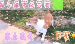 每日吃瓜不打烊,娱乐生活不打烊