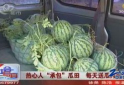 瓜田吃瓜王麻子