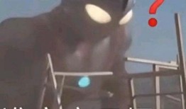 吃瓜别人的文案,吃瓜群众眼中的明星生活