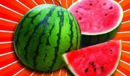 视频吃瓜的危害,揭秘视频吃瓜的危害