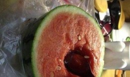 吃瓜几个小时,吃瓜群众几个小时见证的精彩瞬间