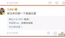 pdf专业吃瓜,专业吃瓜者的深度解读