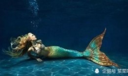 人鱼陷落吃瓜,宫廷权谋与爱恨纠葛的宫廷秘史