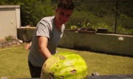 吃瓜比赛原型,一场舌尖上的吃瓜大赛