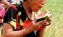 新年吃瓜老太太,揭秘年节里的欢乐与温馨