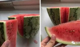 法律中吃的瓜,揭秘网络舆论中的法律边界