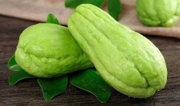 昆工吃瓜,揭秘那些年我们一起“吃瓜”的日子