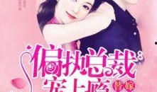 访谈吃瓜小说3,揭秘娱乐圈背后的故事与真相