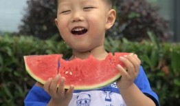 许愿吃瓜后续,揭秘神秘瓜果背后的奇幻之旅