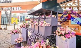 吃瓜翻红陆宁,陆宁的翻红之路