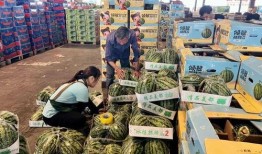 柳州市吃瓜,吃瓜群众的味蕾盛宴