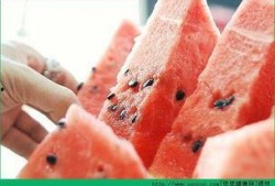 吃日本瓜会长胖吗,吃瓜真的会长胖吗？