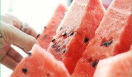 吃日本瓜会长胖吗,吃瓜真的会长胖吗？