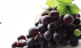 吃瓜不吐葡萄皮福建,吃瓜不吐葡萄皮，品味独特民俗风情