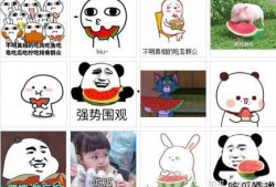 每日吃瓜小波,揭秘娱乐圈幕后故事