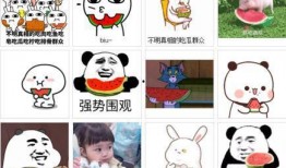 每日吃瓜小波,揭秘娱乐圈幕后故事