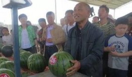 榆林吃瓜群众,揭秘当地独特饮食文化