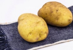 刘大瓜吃土豆,刘大瓜的土豆美食之旅