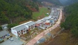 吃瓜成县网红,揭秘网红背后的故事