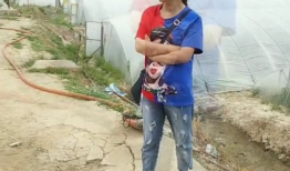 赣榆 吃瓜 由来,民间趣谈与地方风情的交融