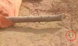 路人吃瓜镜头,路人吃瓜镜头下的社会百态