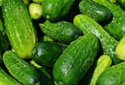 梦见别人吃瓜视频,揭秘梦中吃瓜视频的神秘寓意