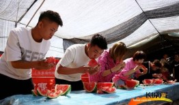 河北校园吃瓜,揭秘校园里的那些“秘密”与“趣闻”