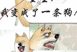 吃瓜成了瓜主小说,意外逆袭的瓜界传奇