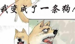 吃瓜成了瓜主小说,意外逆袭的瓜界传奇