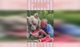 吃瓜小熊俄罗斯,探寻异国风情与美食