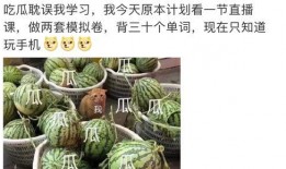 421吃瓜谁写的,网络热词背后的故事与作者之谜